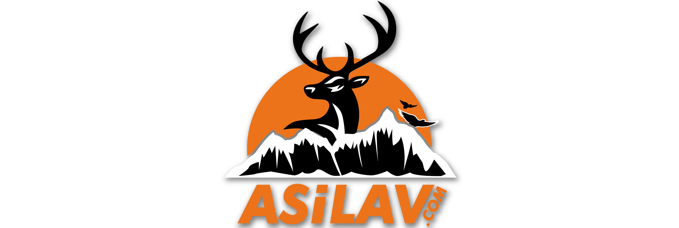 Asil Av